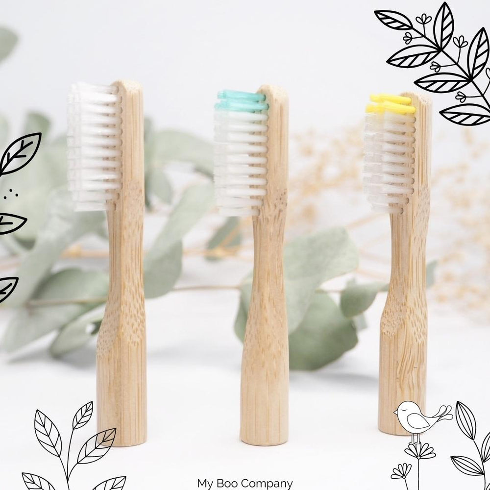 Une brosse à dents tête changeable en bambou - My Boo Company