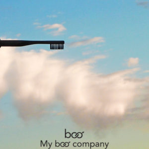 brosse boo